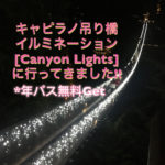 【年パス無料GET】キャピラノ吊り橋ライトアップ”Canyon Lights行ってきた　｜五代目美容師