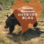 【カナダ】絶景を楽しめるグラウスマウンテン（Grouse Mountain）紹介！！！