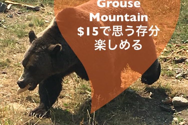 【カナダ】絶景を楽しめるグラウスマウンテン（Grouse Mountain）紹介！！！